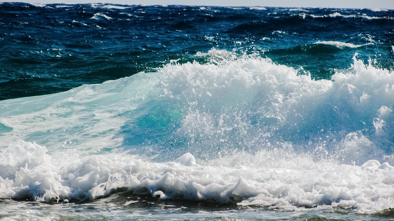 深圳海滩出现一片褐色泡泡，深圳海滩褐色泡泡现象揭秘